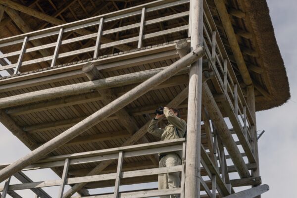 Ekspedīcija, kas ļaus iegrimt putnu pasaulē.