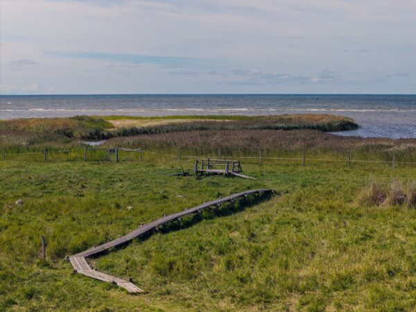 Aizraujošā  putnu vērošana Vidzemes piekrastē