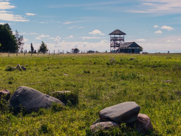 Iepazīsti “Bird International” un “Natura 2000” dabas teritorijas Vidzemē!