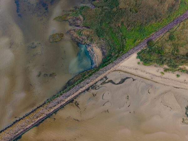 Aizraujošā  putnu vērošana Vidzemes piekrastē