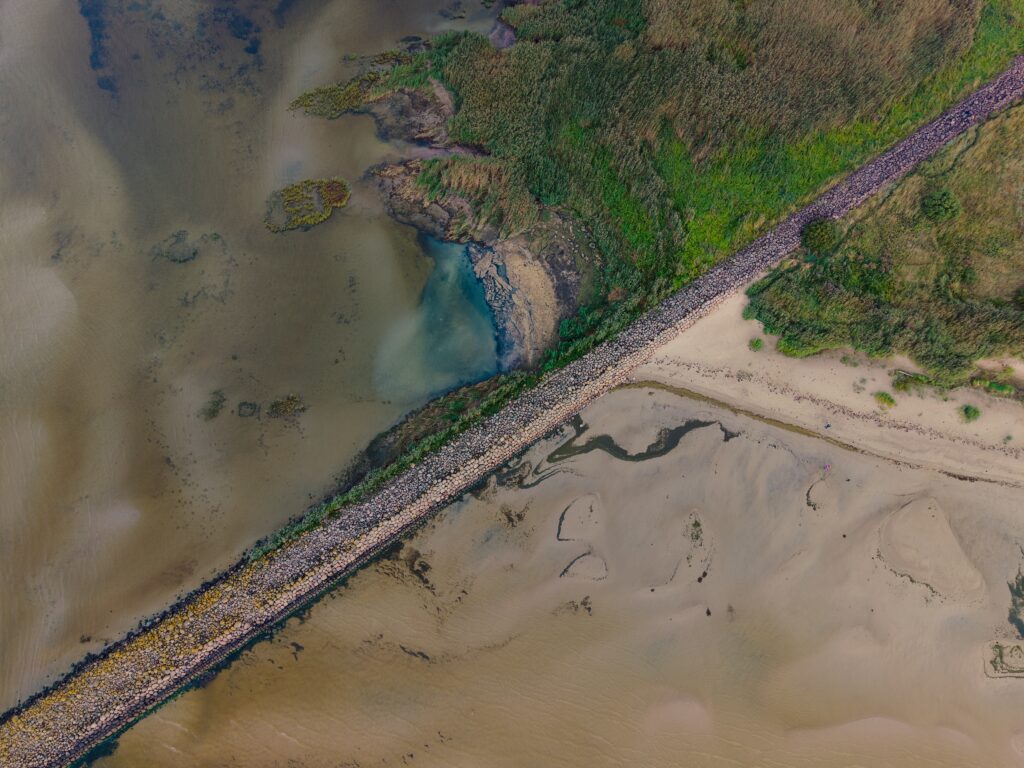 Ekspedīcija, kas ļaus iegrimt putnu pasaulē.