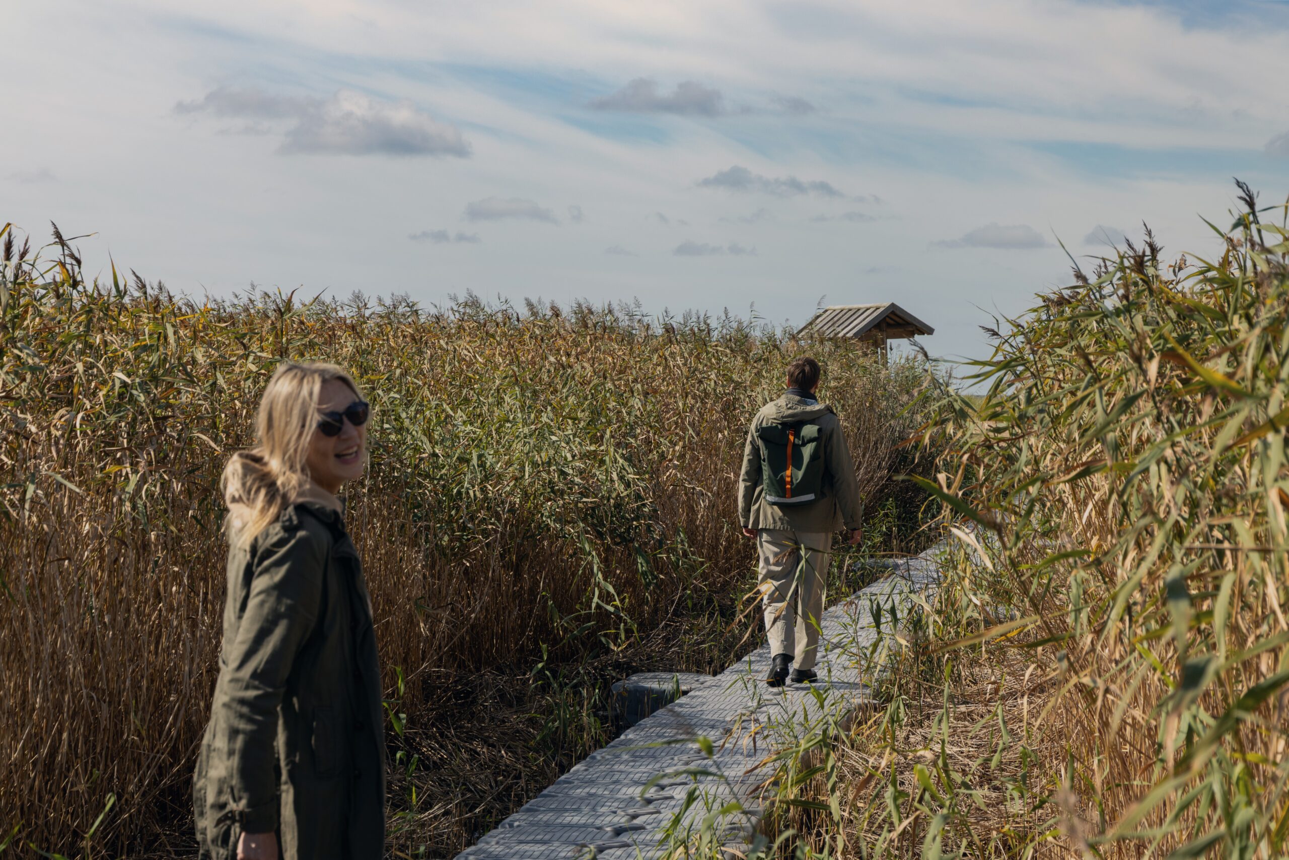 Gain more than just knowledge.